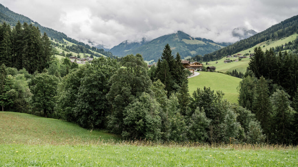 Alpbach: Alpine landscape with trees, meadows, houses and mountains.