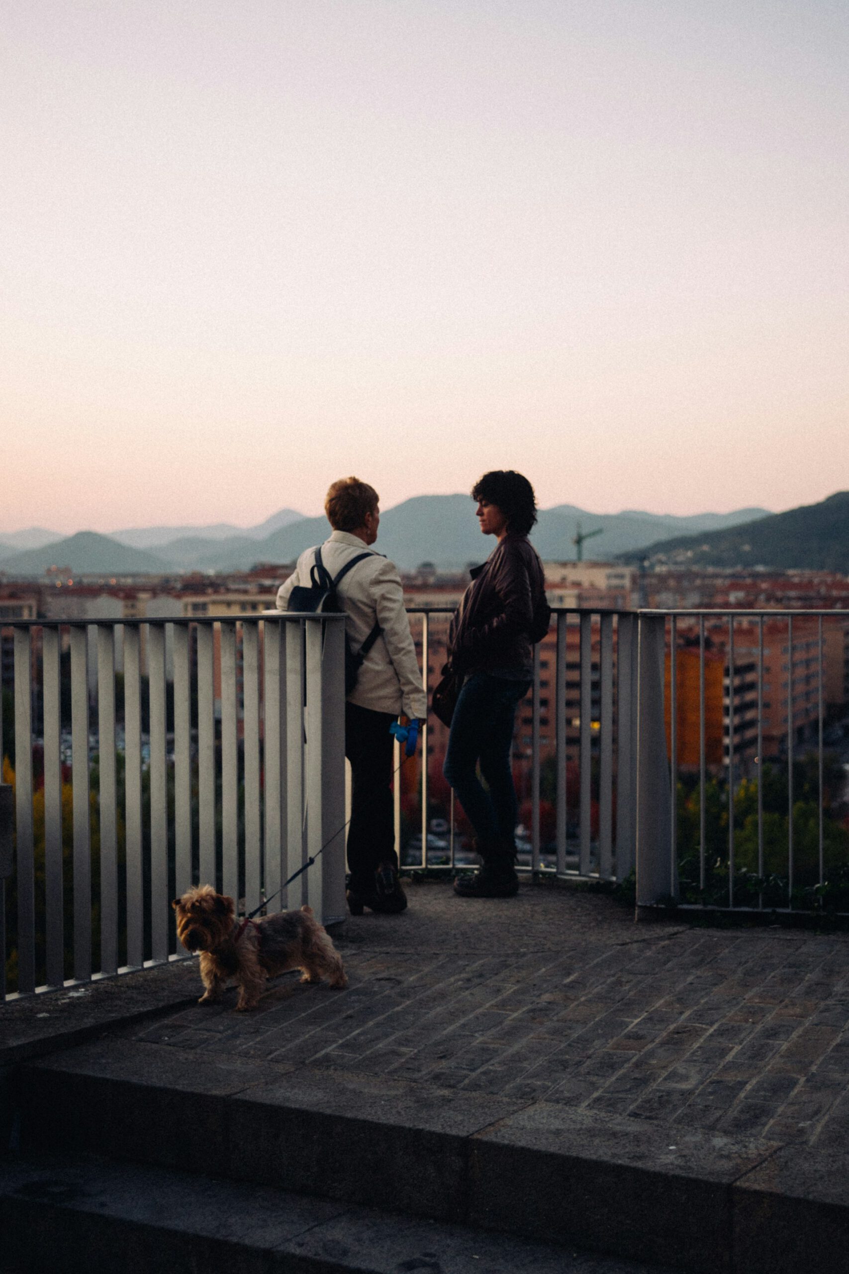 Two people in conversation, on a rooftop after sunset, dog walking away