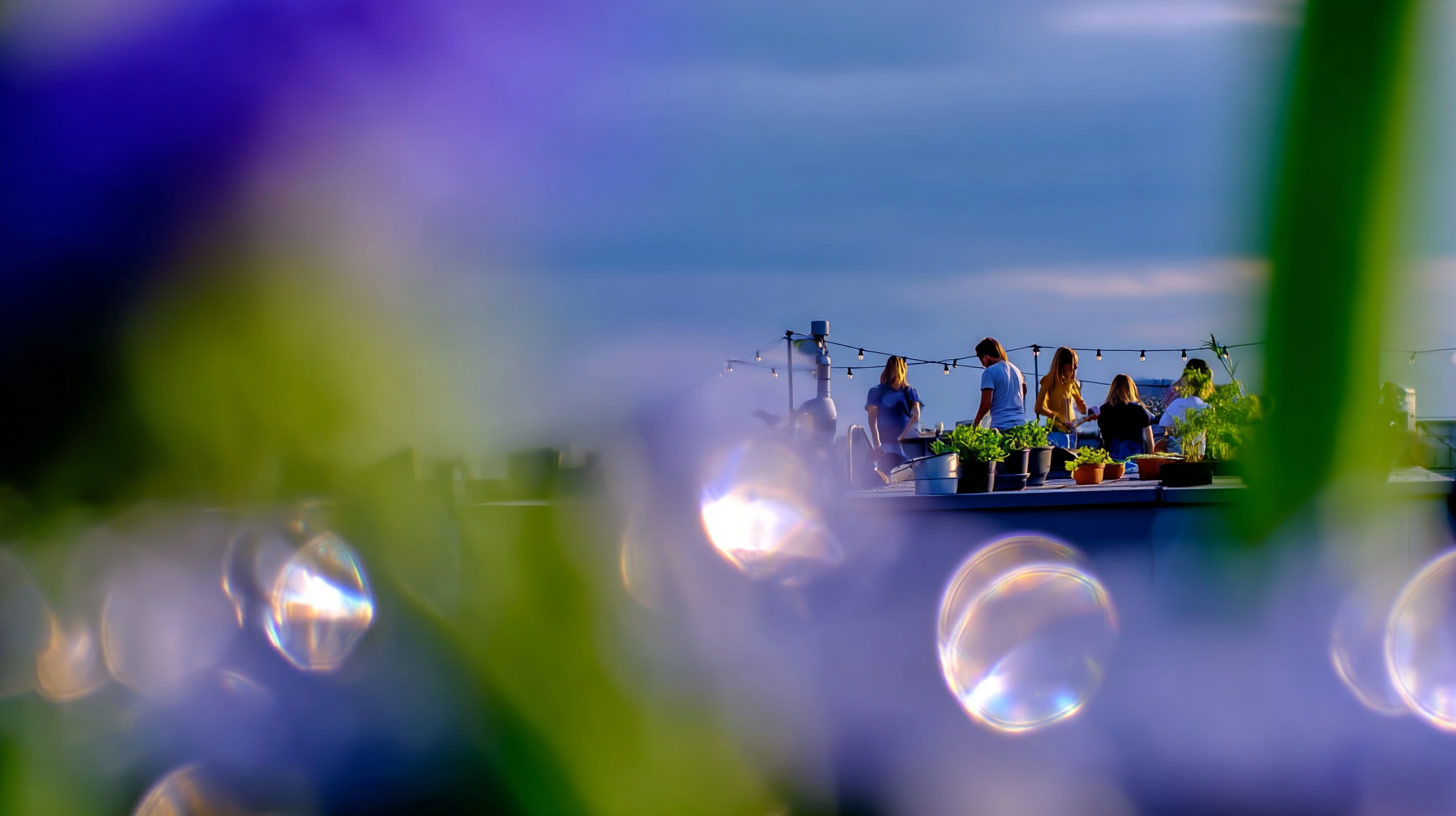 people on a rooftop terrace, flowers in the foreground
