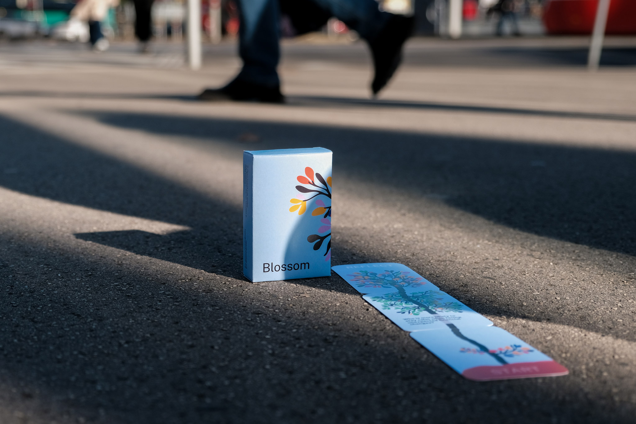 A Blossom card game packaging next to three cards layed out on a pavement, person walking behind it