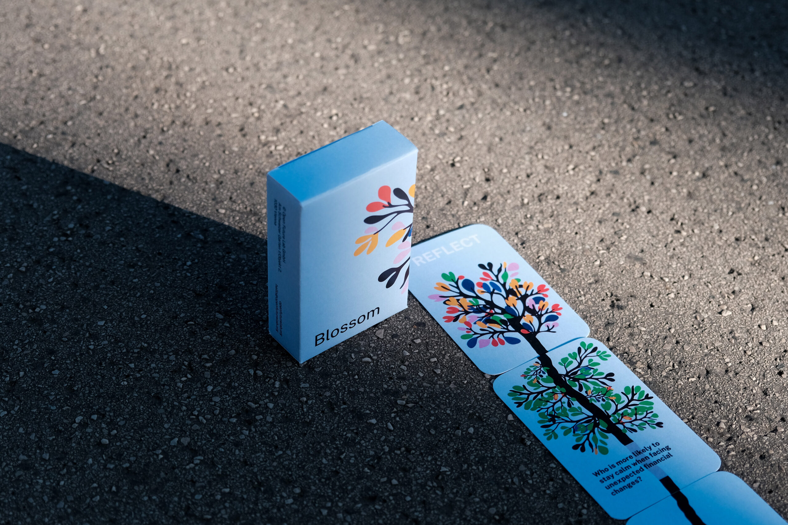 Blossom card game packaging next to some cards layed out on concrete