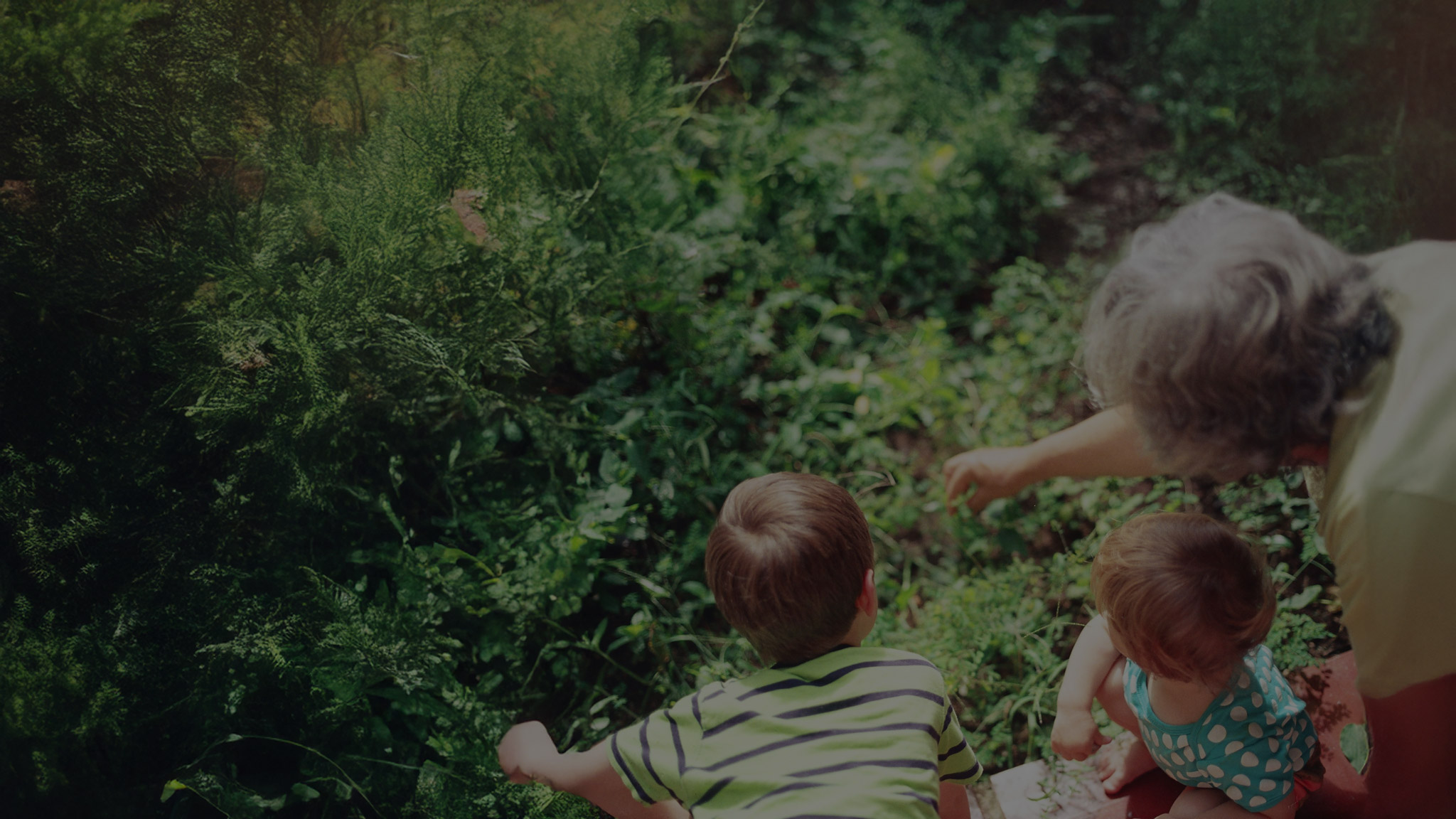 Grandparent showing her grandchildren something in the garden.
